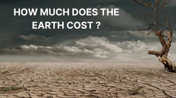 How Much Does the Earth Cost