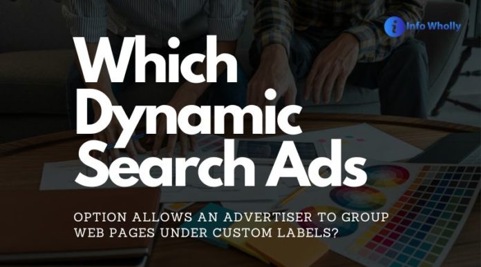 Which Dynamic Search Ads option allows an advertiser to group web pages under custom labels?