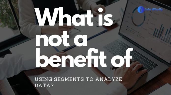 what is not a benefit of using segments to analyze data