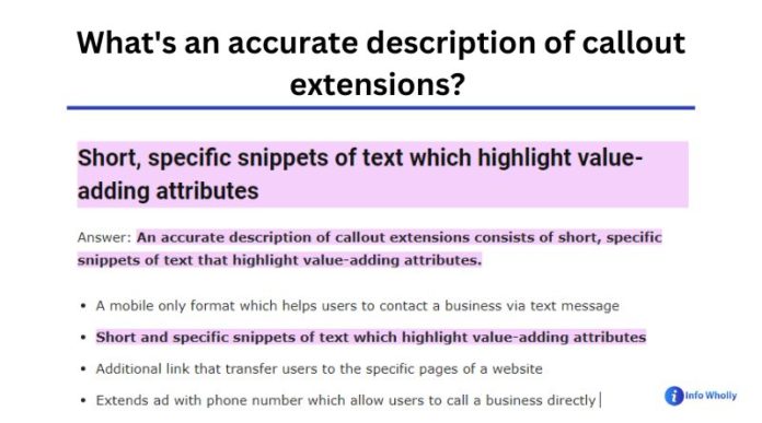 What's an accurate description of callout extensions