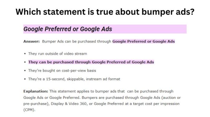 which statement is true about bumper ads